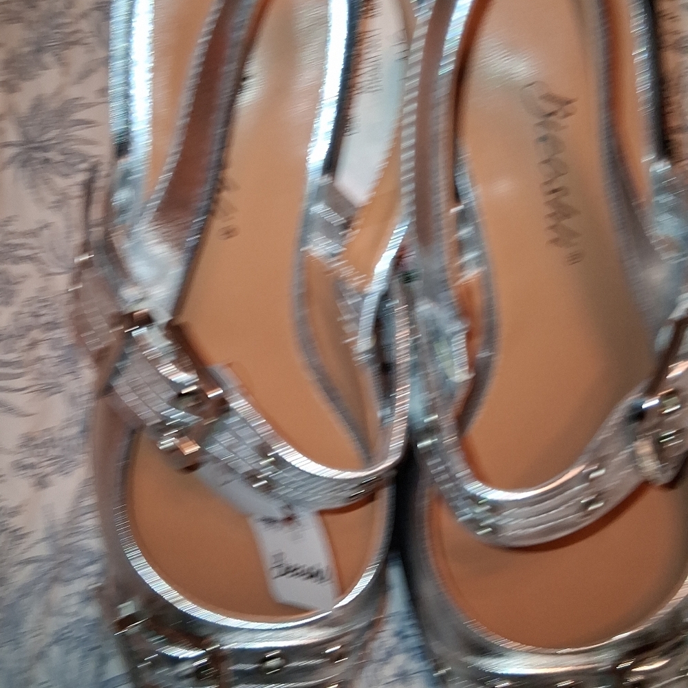 Chic SILVER Buckled Flats for Women - Picture 9 of 10
